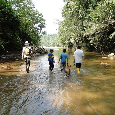 Grand Selva Lodge & Tours เตนา ภายนอก รูปภาพ