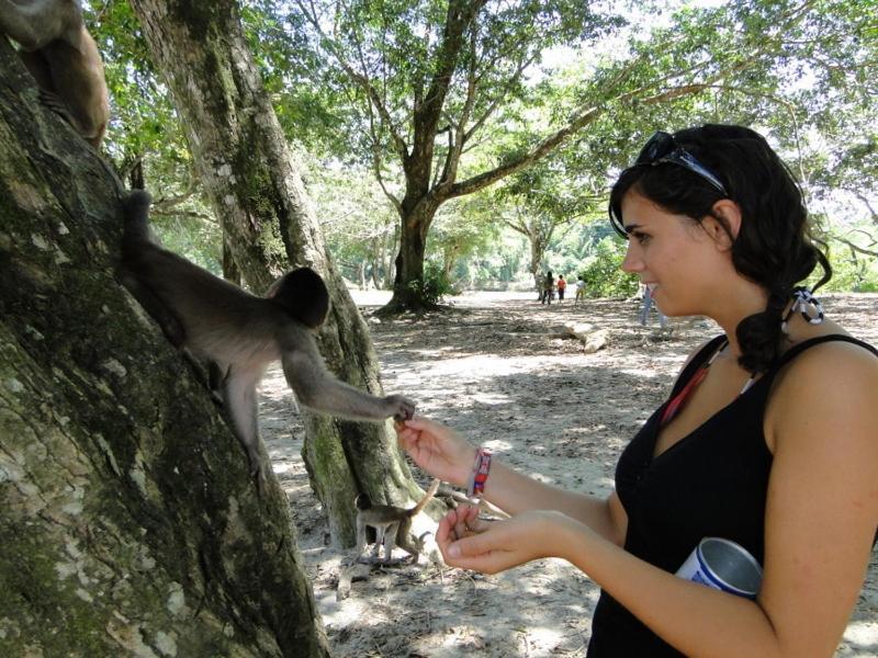 Grand Selva Lodge & Tours เตนา ภายนอก รูปภาพ