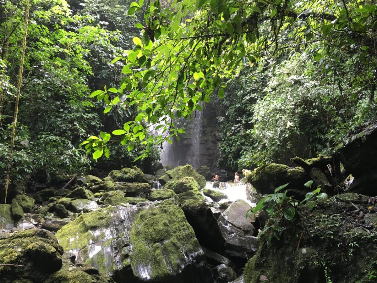 Grand Selva Lodge & Tours เตนา ภายนอก รูปภาพ