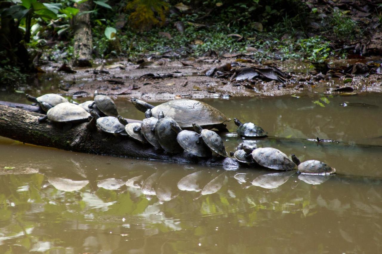 Grand Selva Lodge & Tours เตนา ภายนอก รูปภาพ