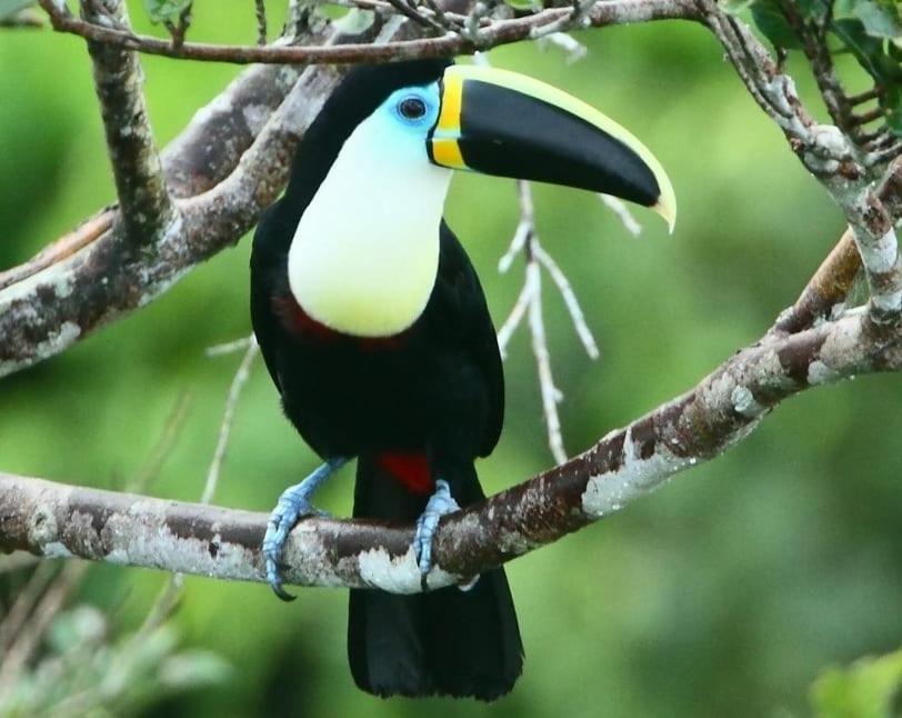 Grand Selva Lodge & Tours เตนา ภายนอก รูปภาพ