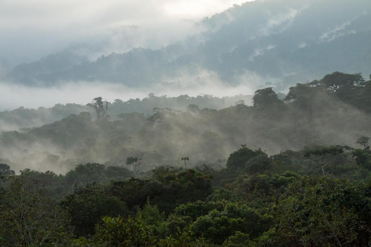 Grand Selva Lodge & Tours เตนา ภายนอก รูปภาพ