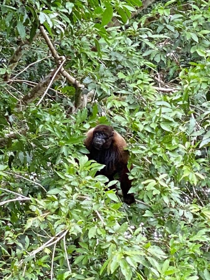 Grand Selva Lodge & Tours เตนา ภายนอก รูปภาพ