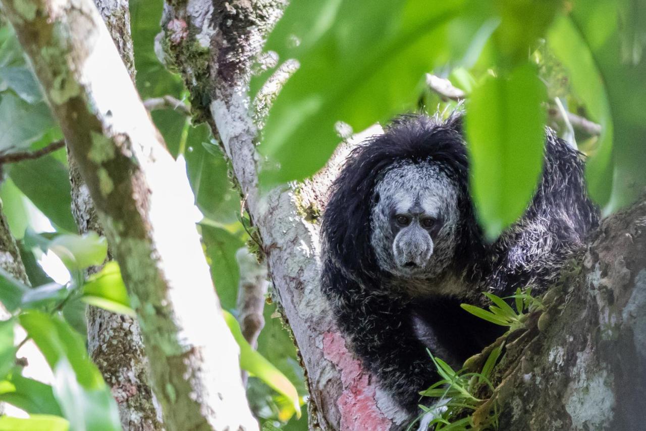 Grand Selva Lodge & Tours เตนา ภายนอก รูปภาพ